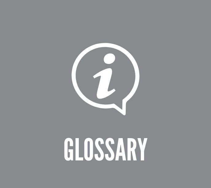 Glossary