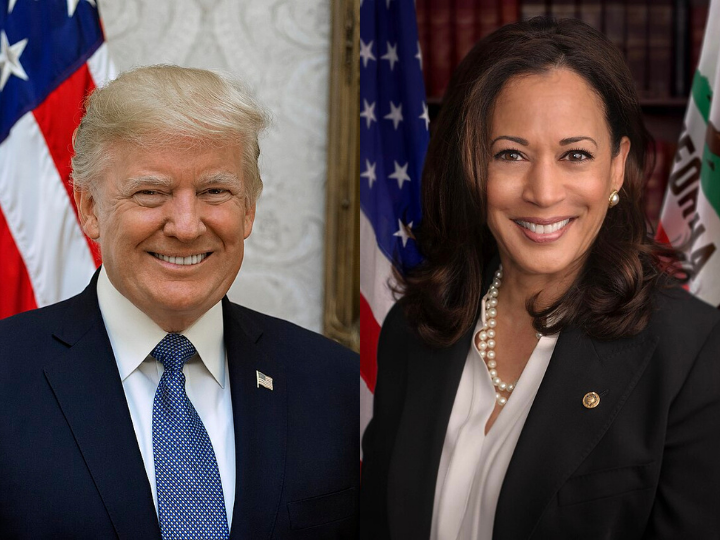 trump and harris