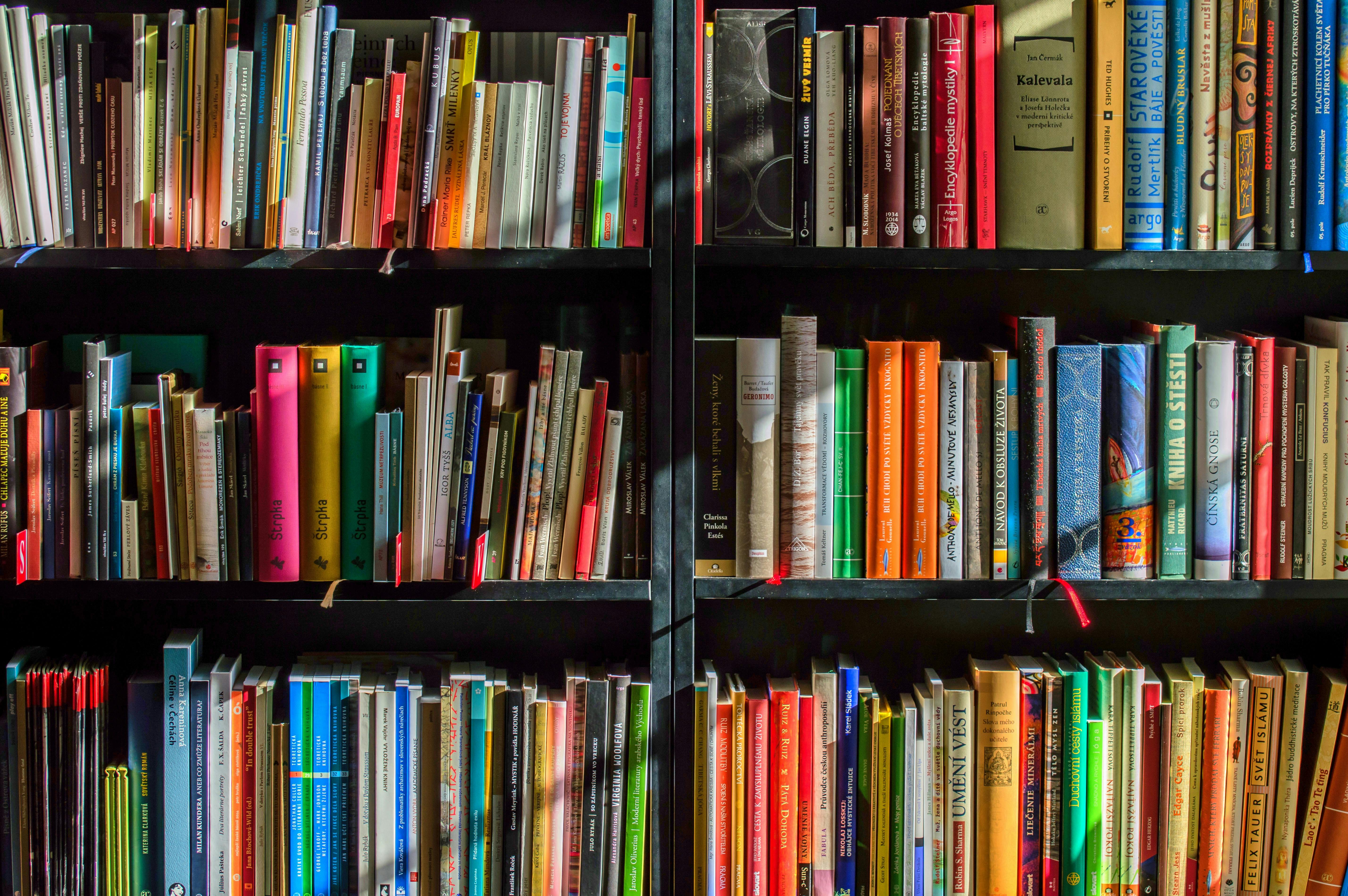 Bookcase full of books