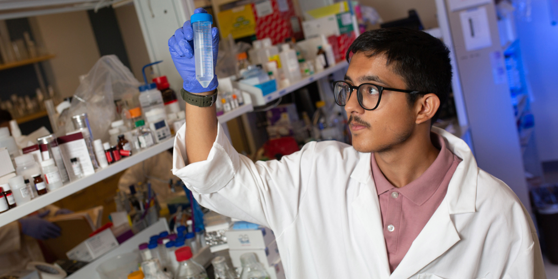 Student evaluating an experimental sample